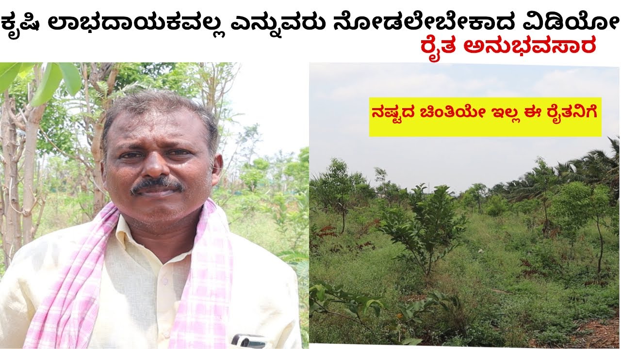 ಹೊಲವೊಂದು ಬೆಳೆಗಳು ಹಲವು- ನಷ್ಟದ ಮಾತೇ ಇಲ್ಲ ಈ ರೈತನಿಗೆ Multi Farming