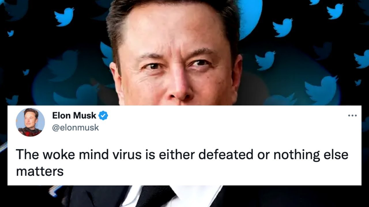 Elon Musk's Meaningless Utopia