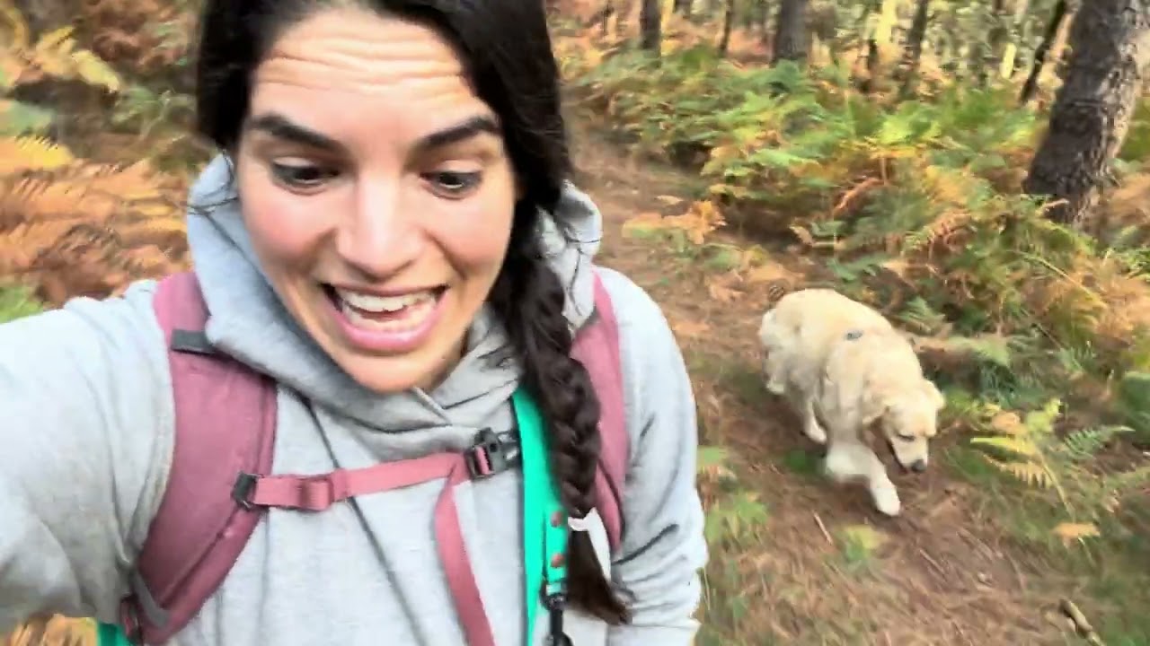 Lo que encontré en el bosque: El rastro de una ardilla
