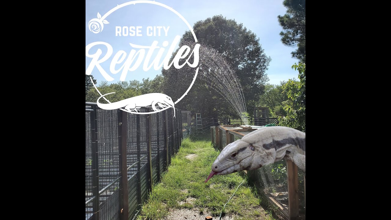 VERY IMPORTANT for OUTDOOR REPTILE enclosure!