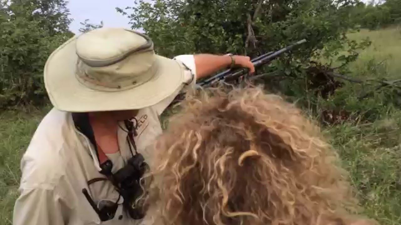Elephant Tracking in Zimbabwe with Kurt & Anne Kutay