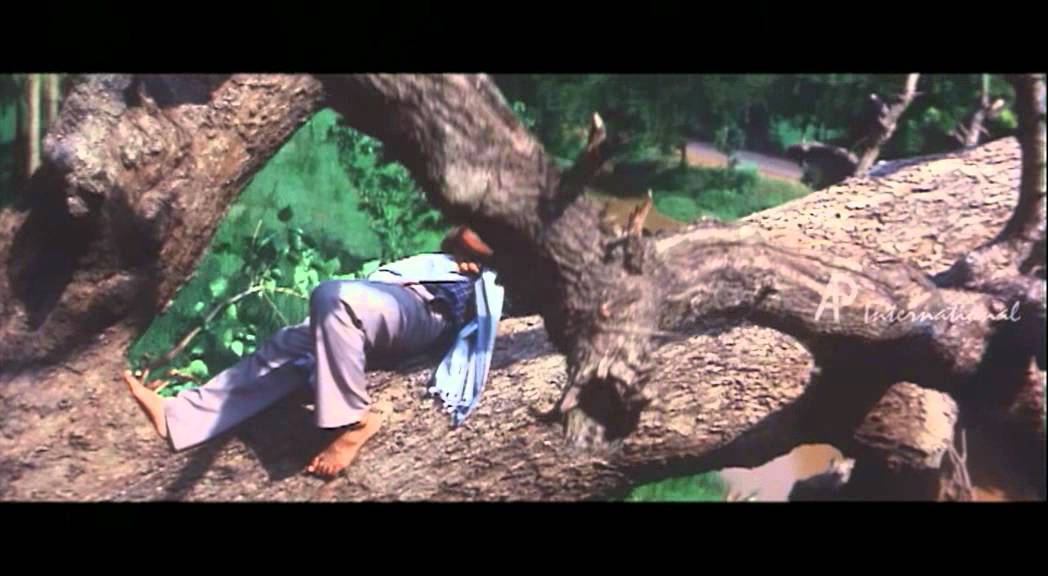Anbu Sagotharan - Thai Vettukku Vaa Song
