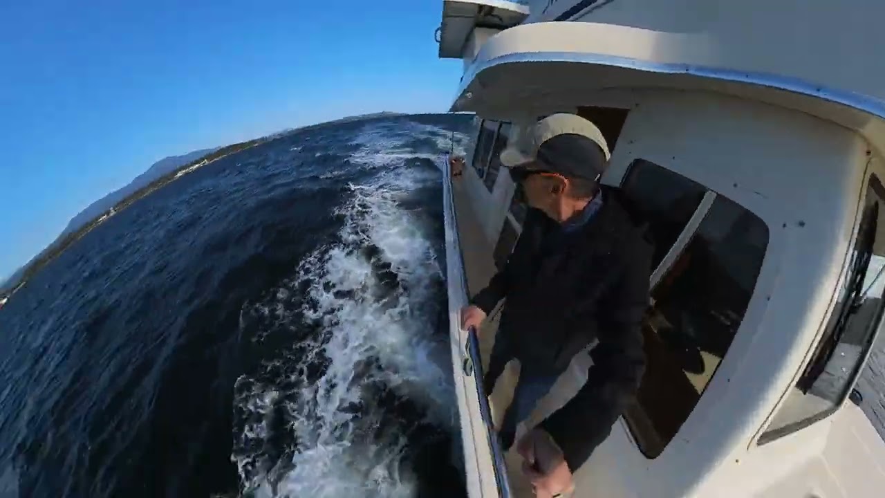 Malka Goes to Sea