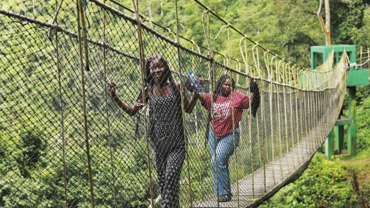 Is this becoming one of the best Canopy walkways in Ghana?/Amedzofe walkway/Fun trip!!