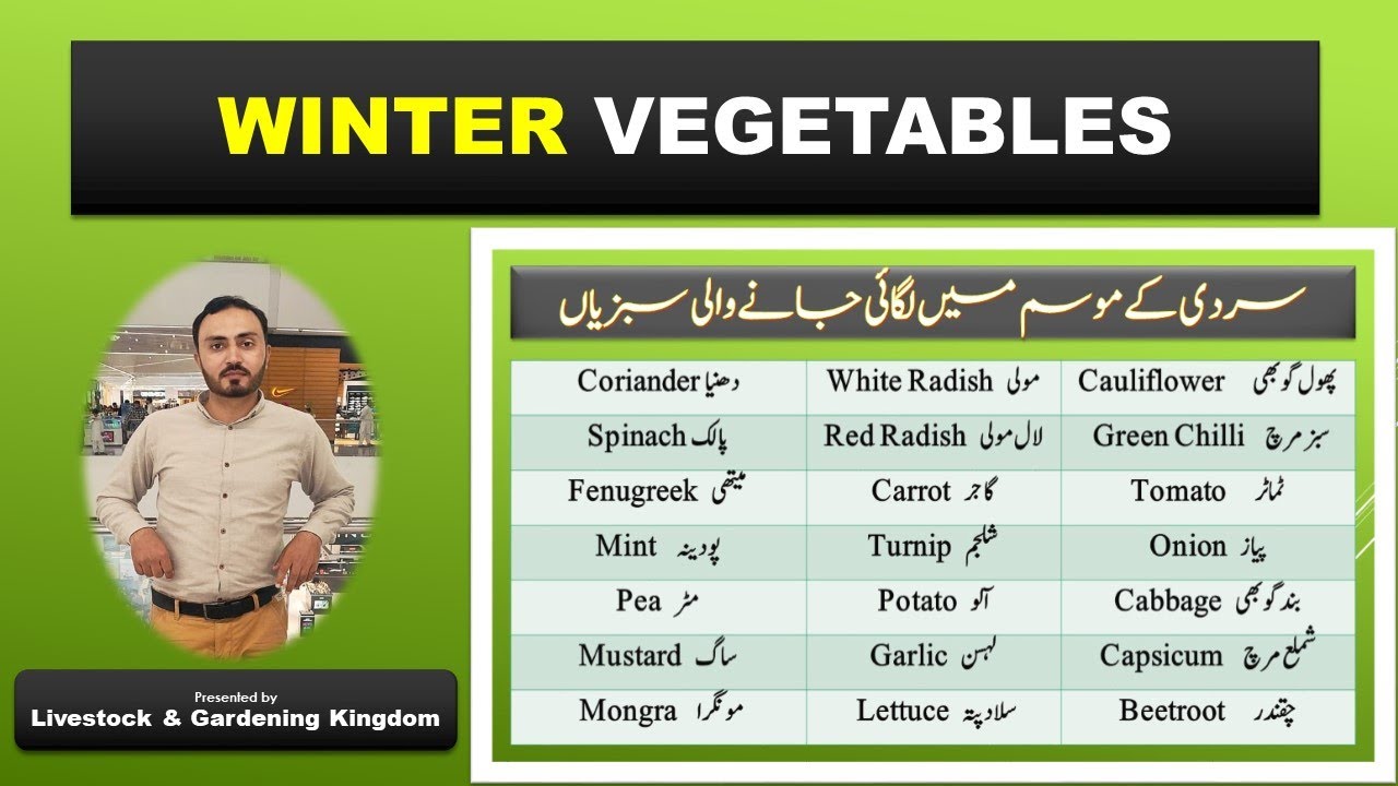 winter season vegetables in Pakistan (complete details) || livestock & gardening kingdom