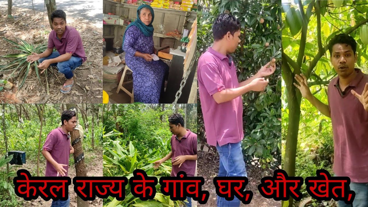 केरल राज्य के ,गांव ,घर, खेत, कैसे होते हैं देखिए || part 2