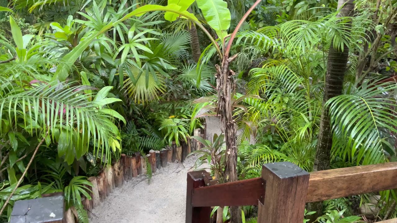 Hotel tour at Ramon’s Village Resort in San Pedro, Belize - Ambergris Caye.