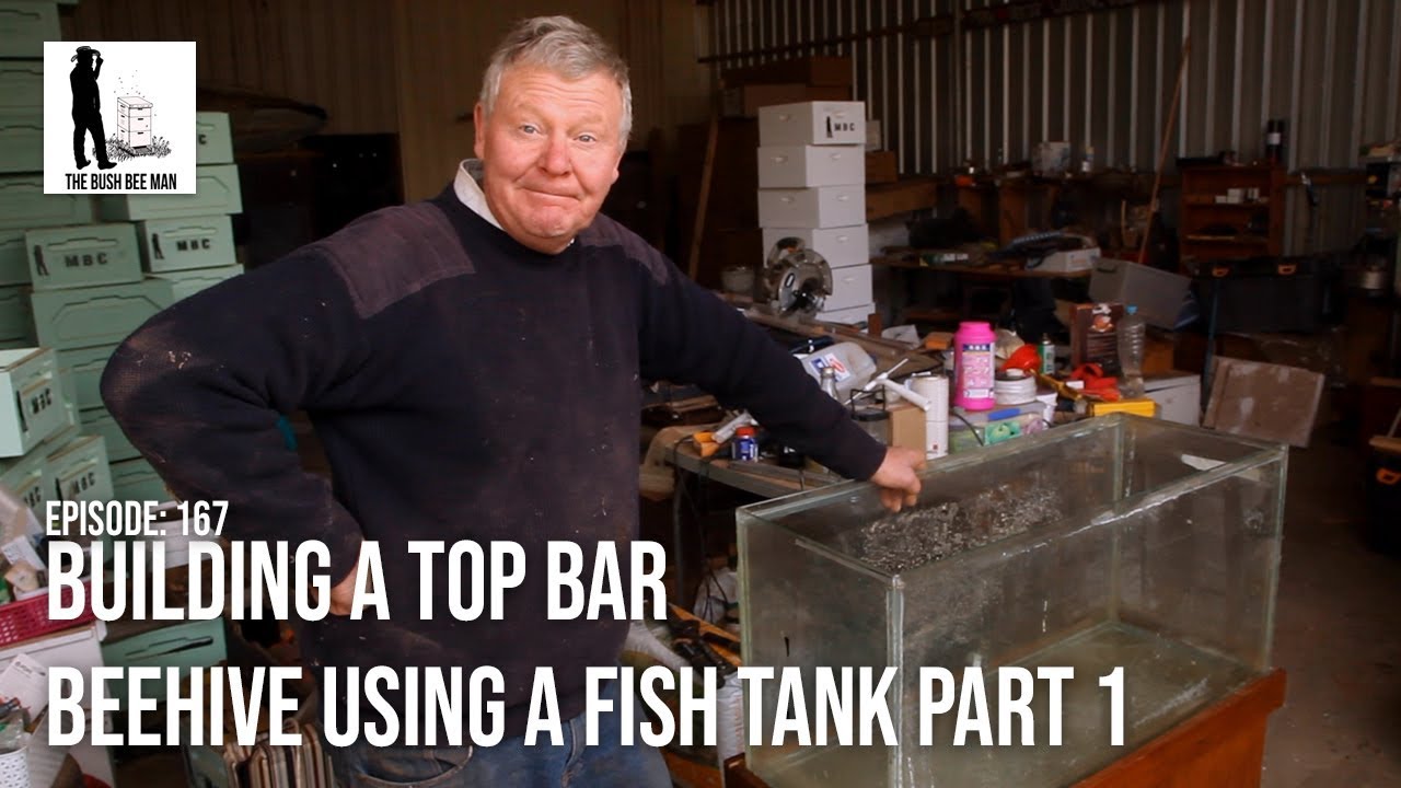 How to Build a Fish Tank Observation Hive Part 1 - The Bush Bee Man