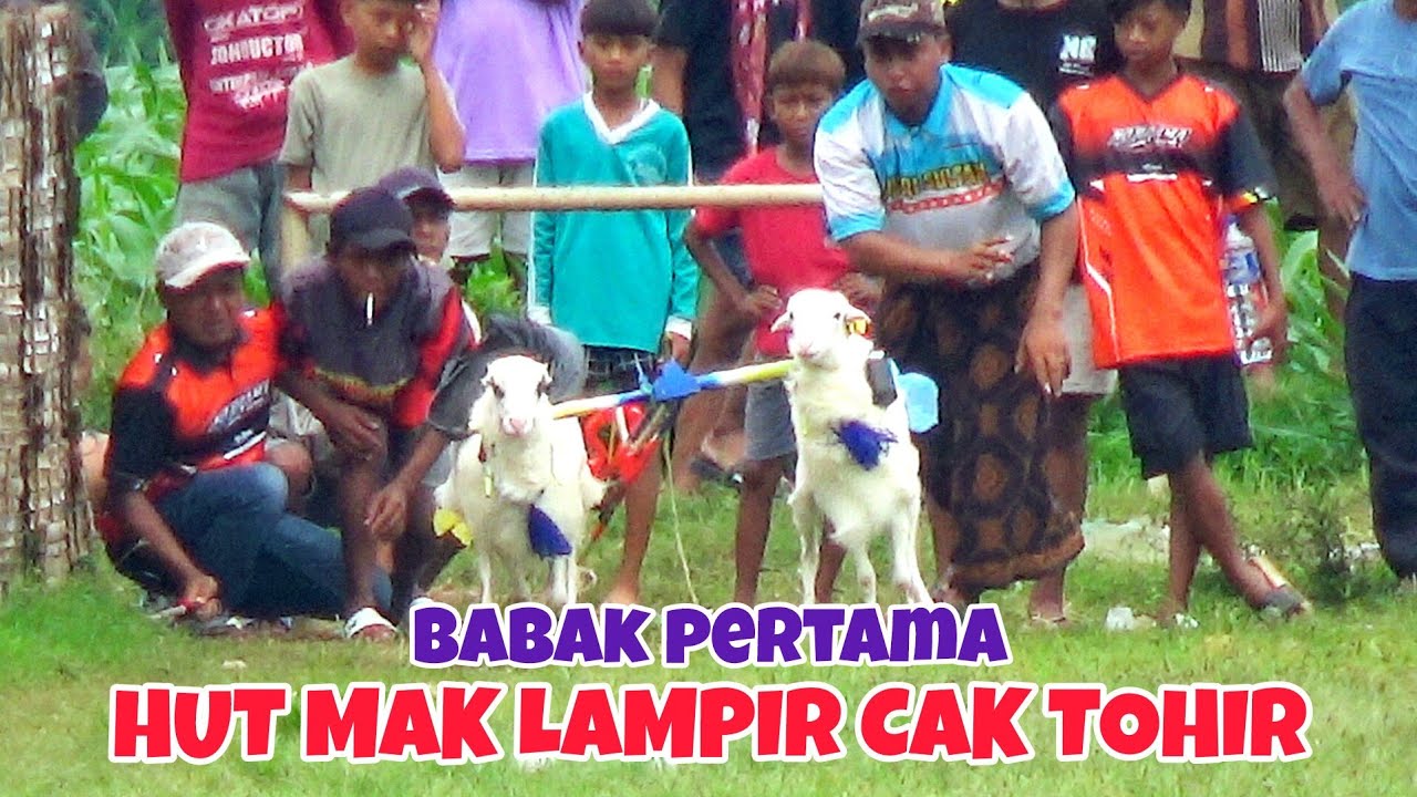 BABAK PERTAMA KARAPAN KAMBING HUT MAK LAMPIR CAK TOHER