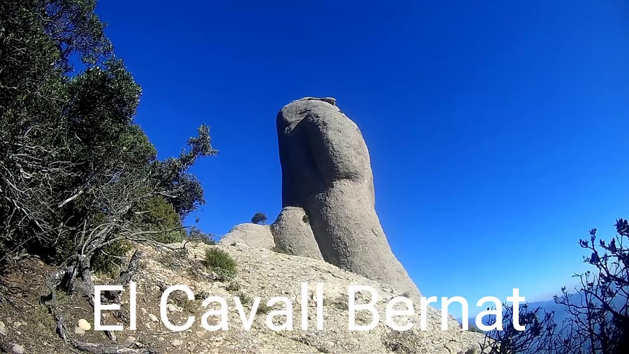 EL MORO PUJANT PER LA CANAL DEL CAVALL BERNAT (MONTSERRAT) 6/12/2017