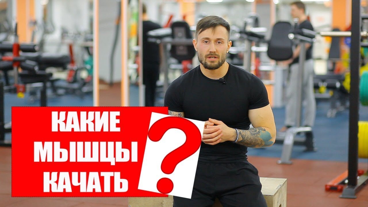 Какие Мышцы Нужно Качать