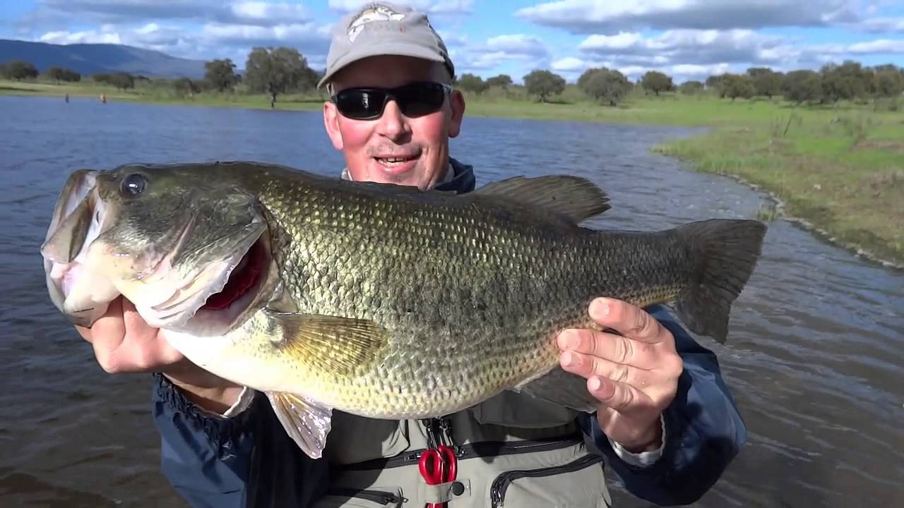 BASS DE 3'310 KG Y 58 CM DE SIERRA BRAVA,MI R&Eacute;CORD ACTUAL.