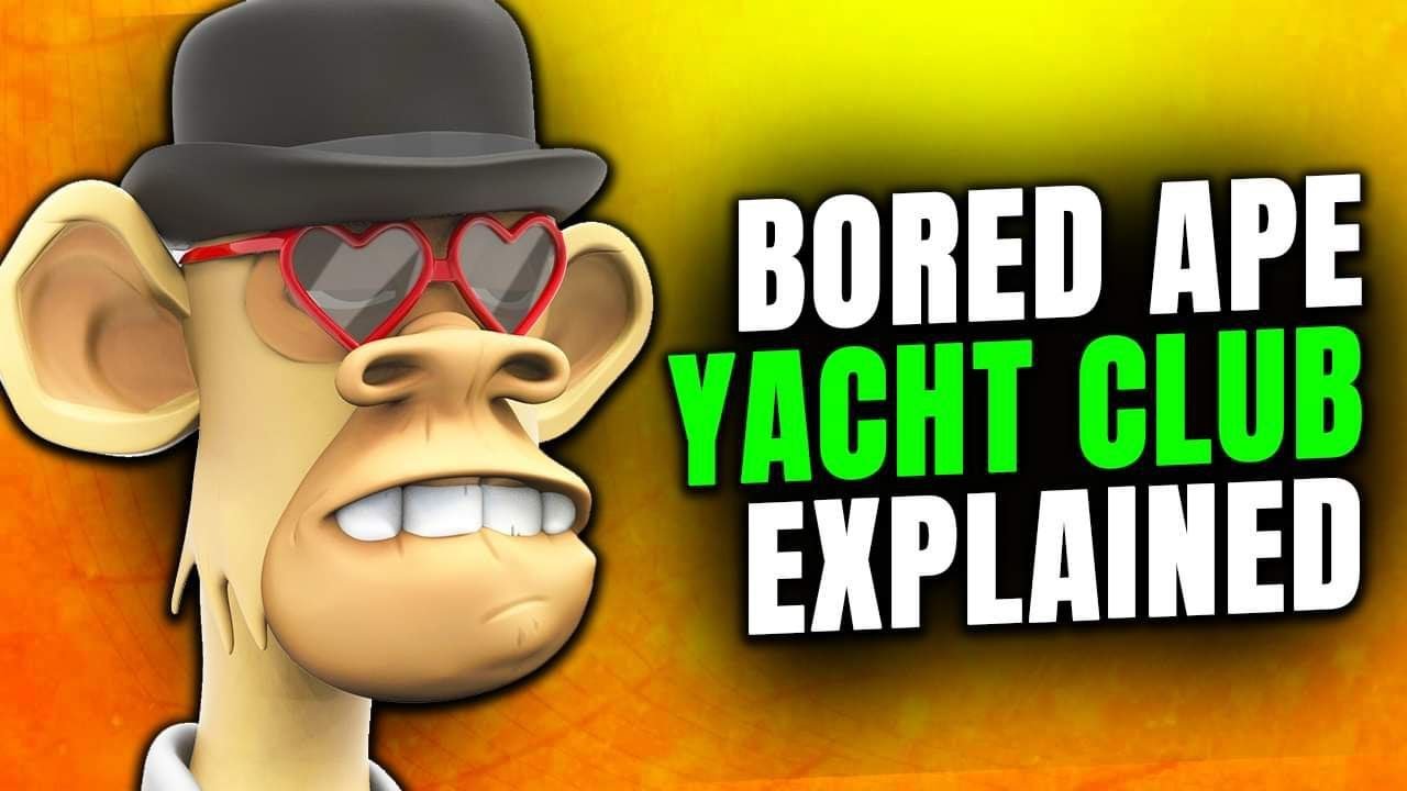 Bored ape yacht club Explained