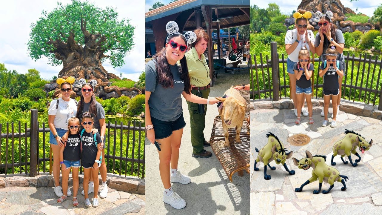 We Had a Wild Summer Adventure at Disney's Animal Kingdom! Secret Entrance, Petting Goats and More!