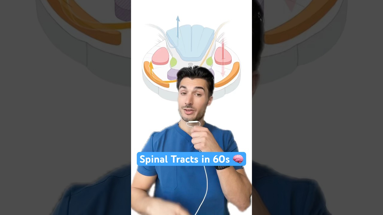 Spinal Tracts in 60s 🧠💡#medstudent medschool #neurology #neuro #usmlestep1 #usmle