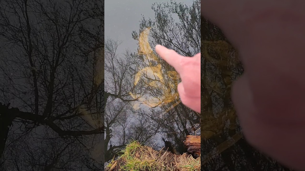 Unfassbar was hier im Wasser liegt 😡☝️! #angeln #fishing #fish