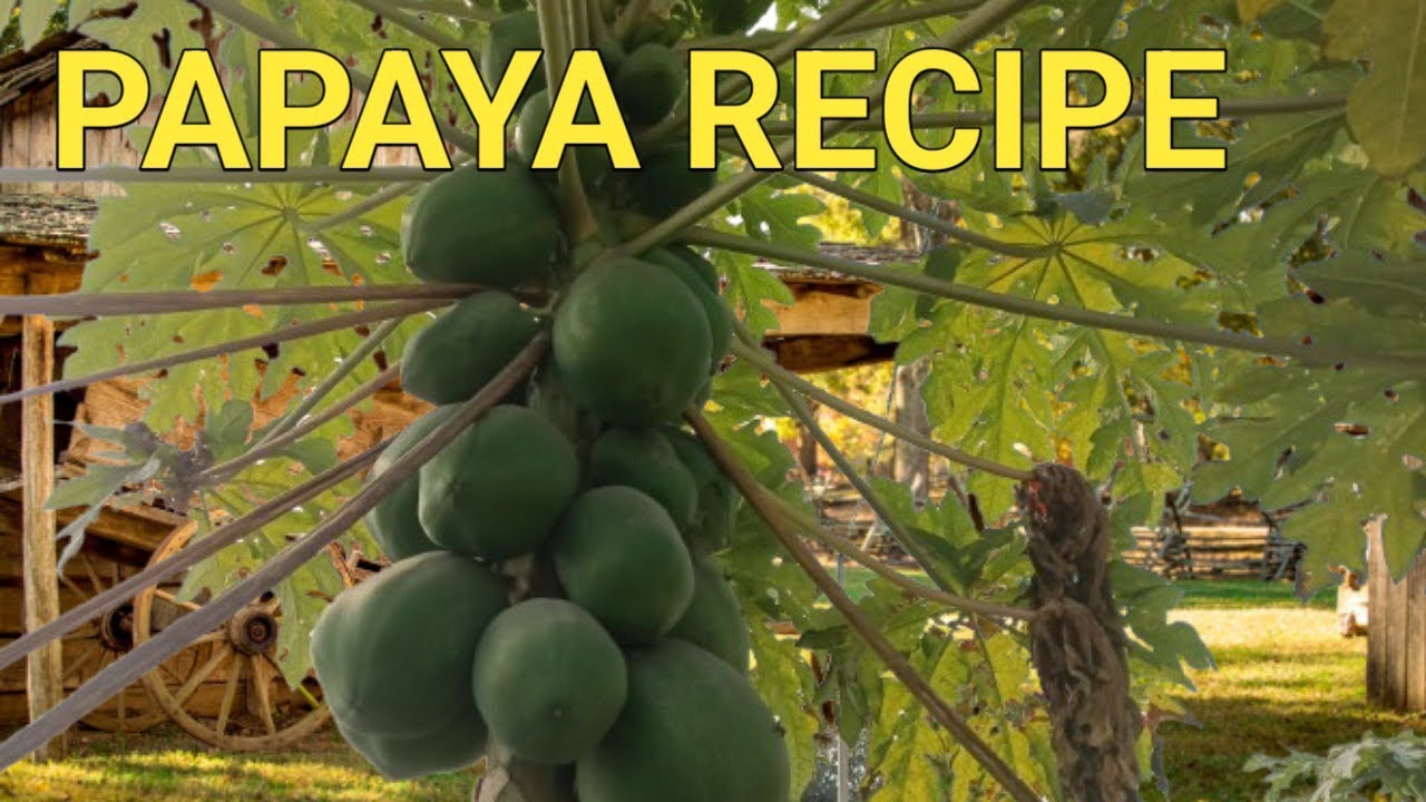 ଅମୃତ ଭଣ୍ଡା ସନ୍ତୁଳା Papaya Recipes