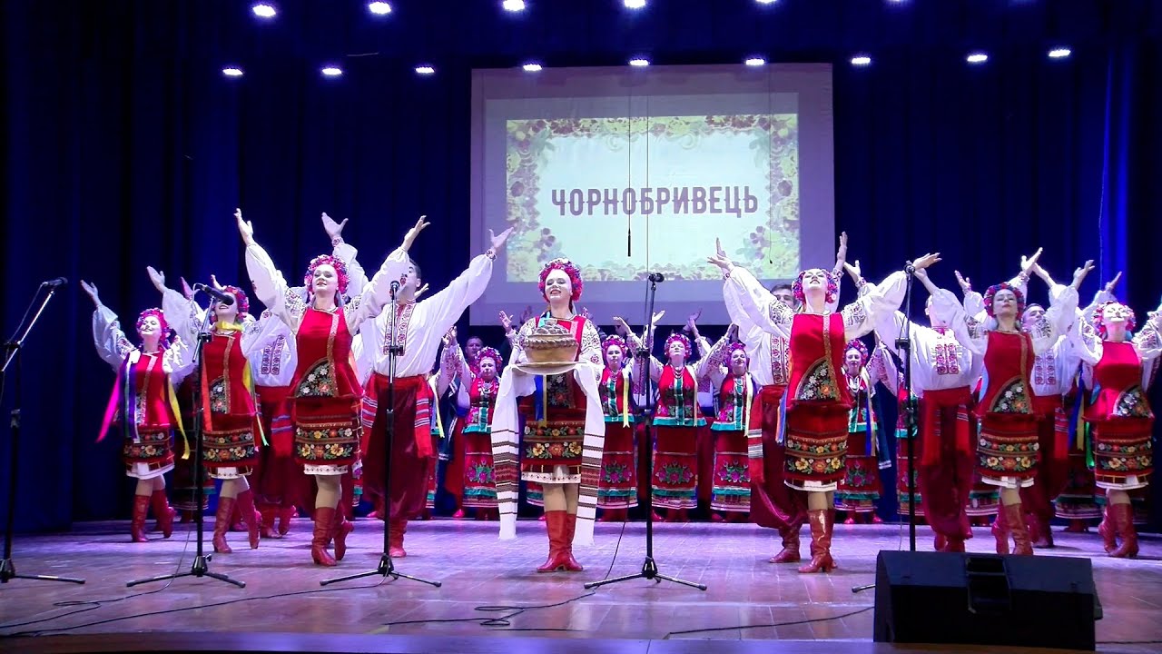 Благодійний концерт ансамблю пісні і танцю 