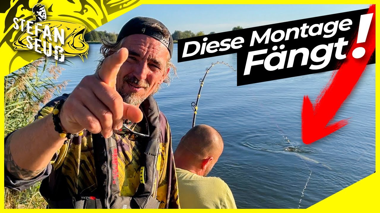 WELS mit WURM | Mit dieser MONTAGE f&auml;ngt jeder ANGLER !! | Welsangeln in Deutschland