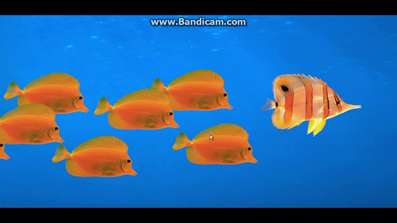 M.U.G.E.N. Virus on Windows XP!