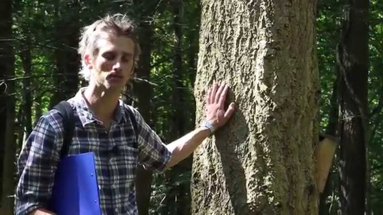 [Bangor University] MSc Forestry Distance Learning 2015