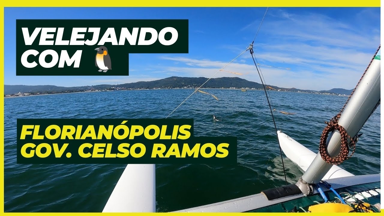 Velejar com Pinguins em Florianópolis Flotilha Hobie Cat 14, Norte da ilha 21/07/24.