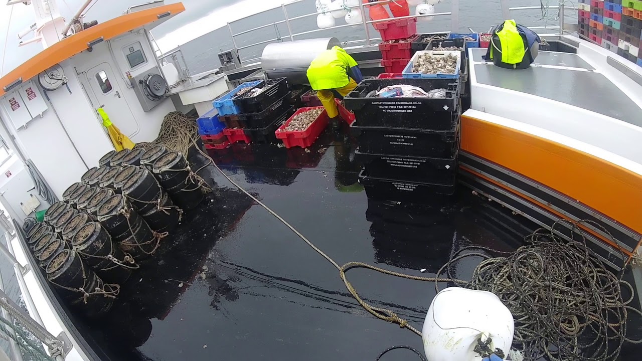 Whelk potting (stacking and shooting) 2