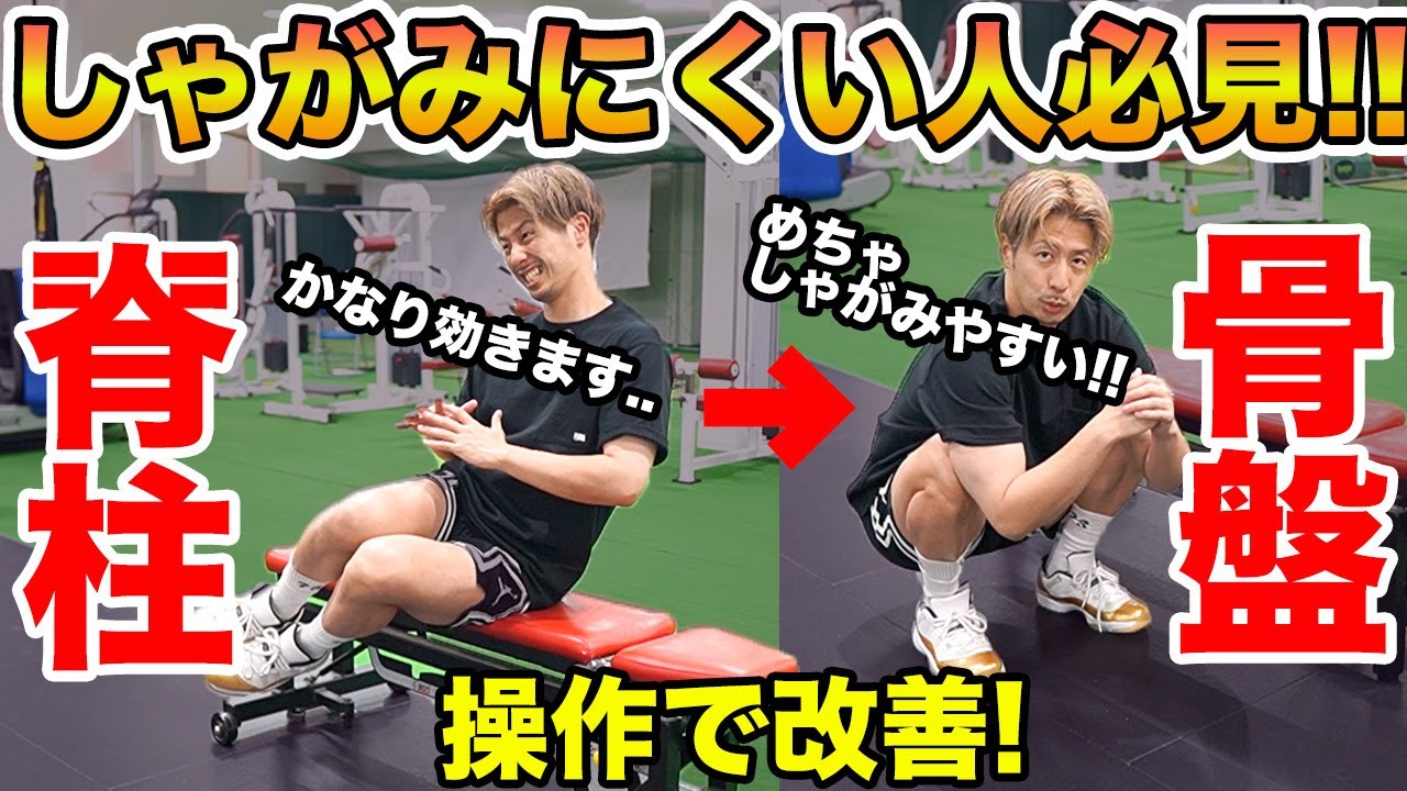 【しゃがめない】まずこれやって見て！脊柱・骨盤エクササイズを理学療法士が解説！