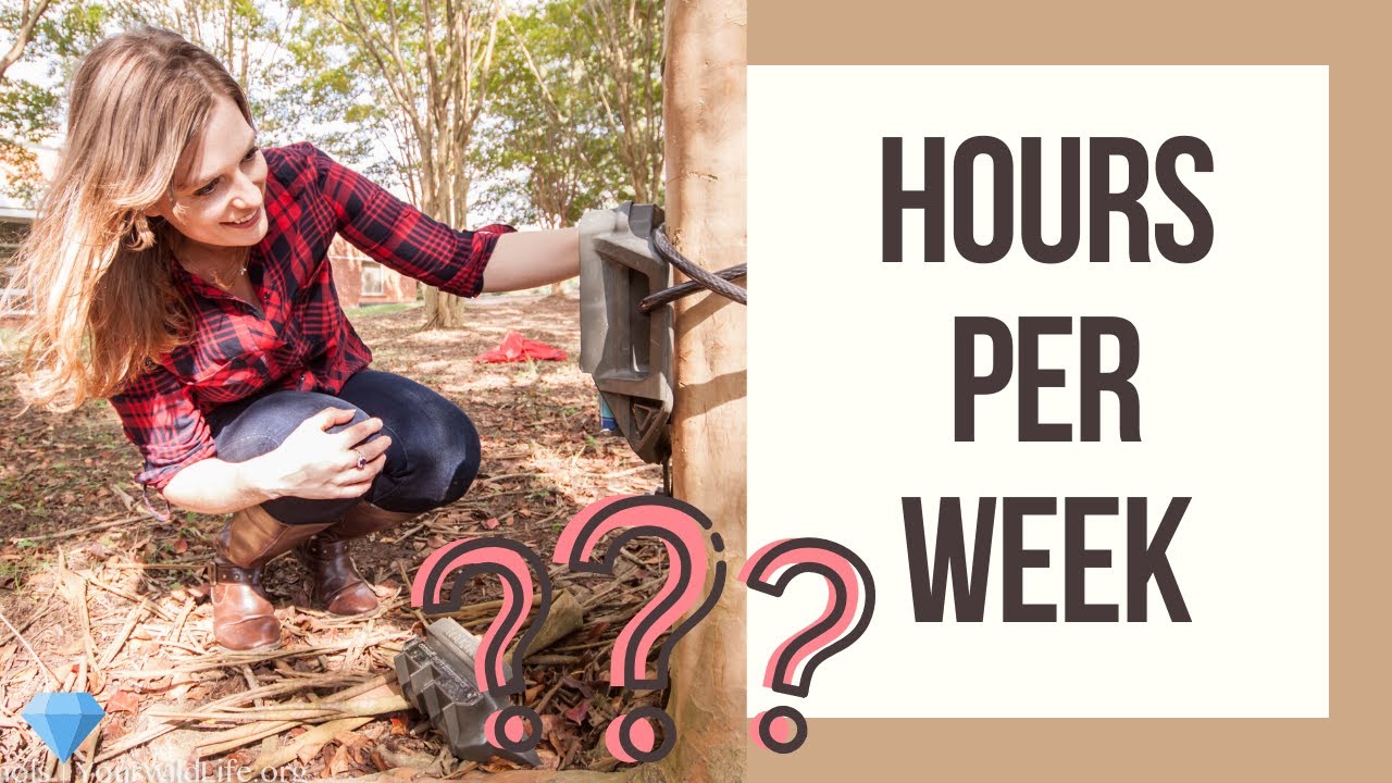 How Many Hours Do Wildlife Biologists Work?