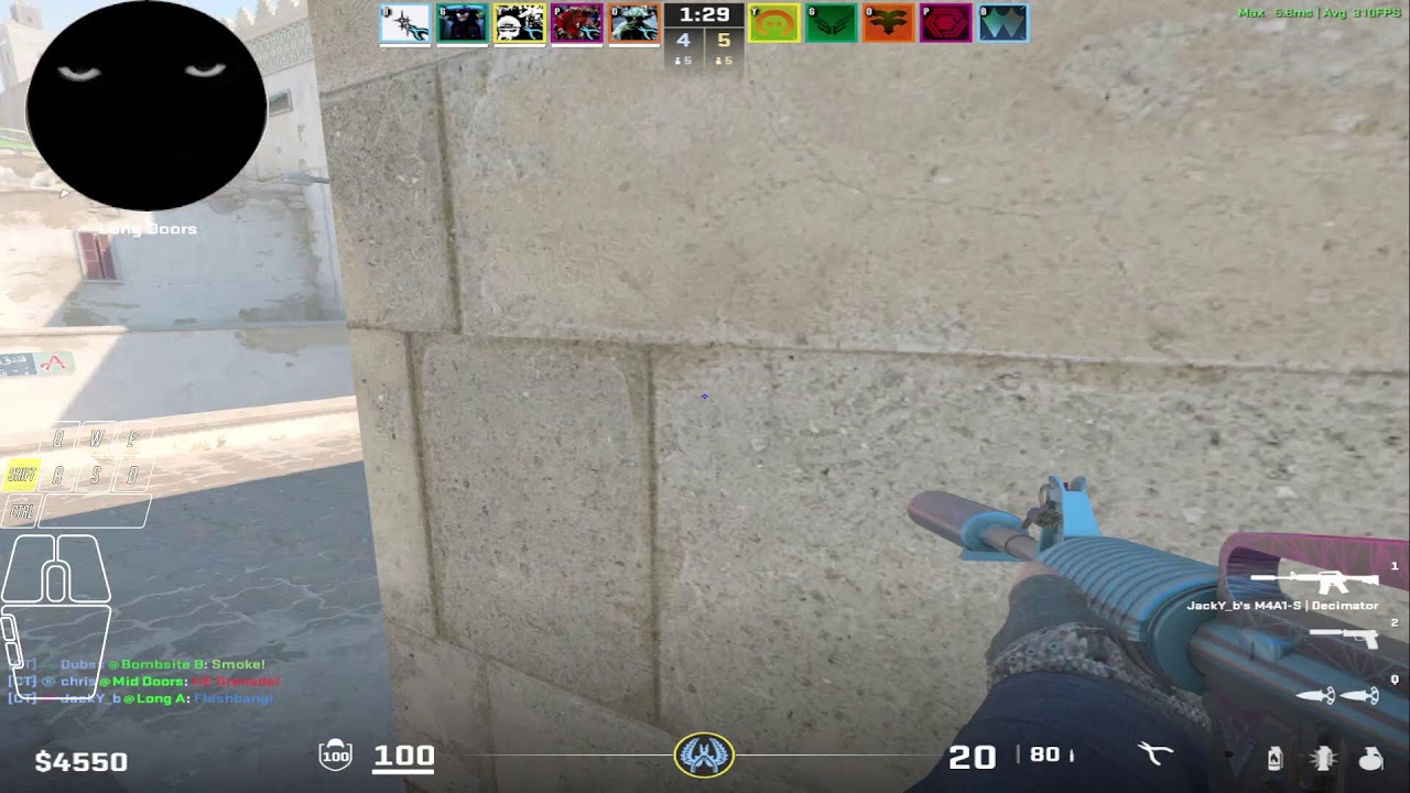 best player NA visits the zoo | 3k Elo Faceit 30s delay