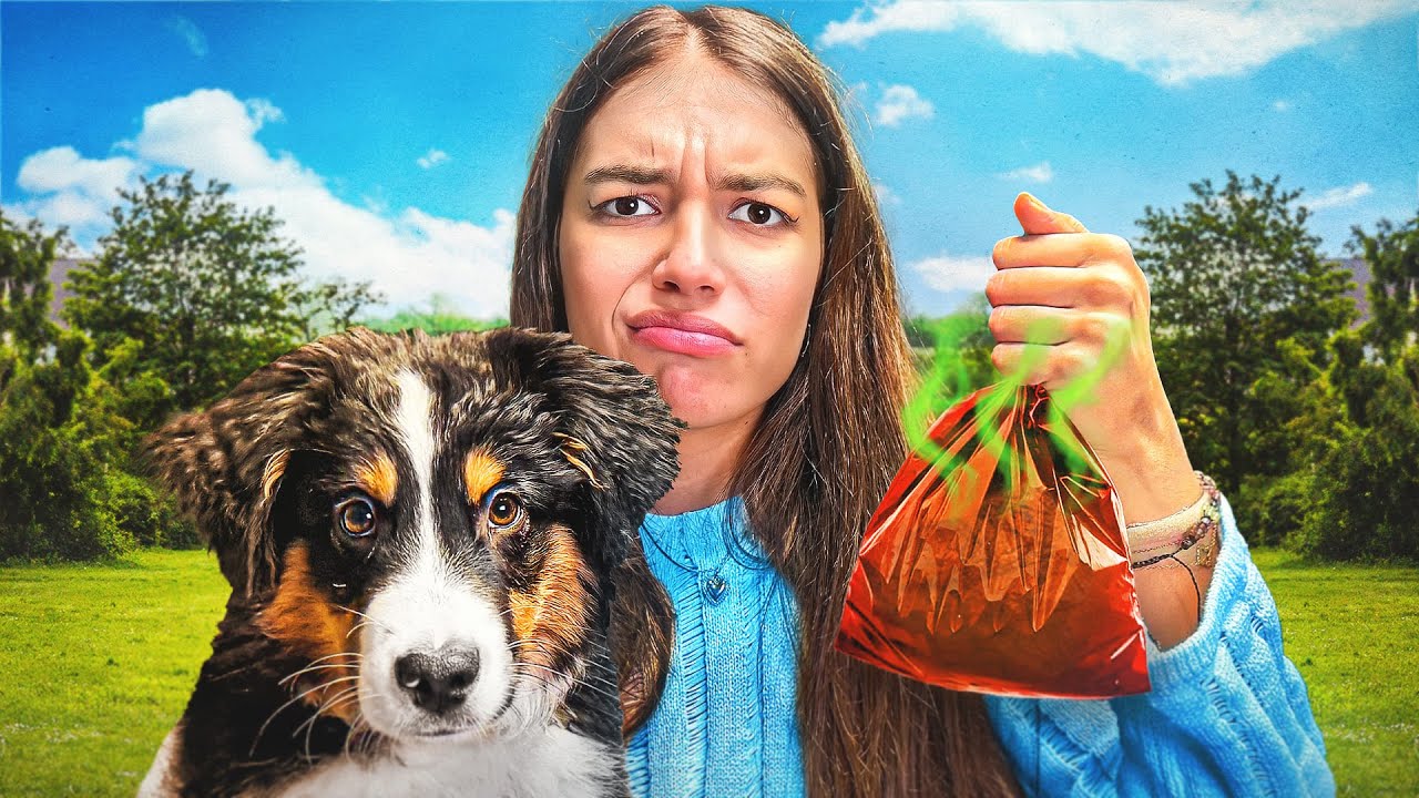 7 JOURS AVEC UN CHIOT (une catastrophe…)