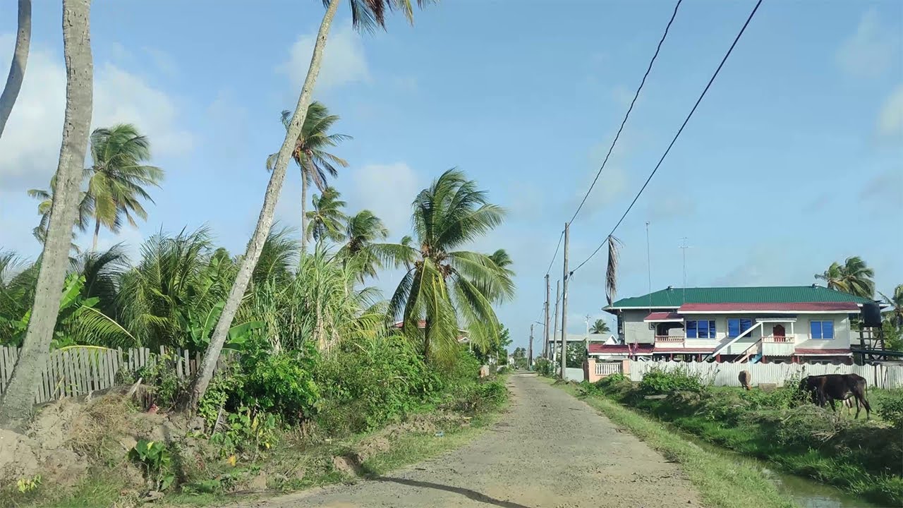 GUYANA: NO  60 VILLAGE, CORENTYNE, BERBICE