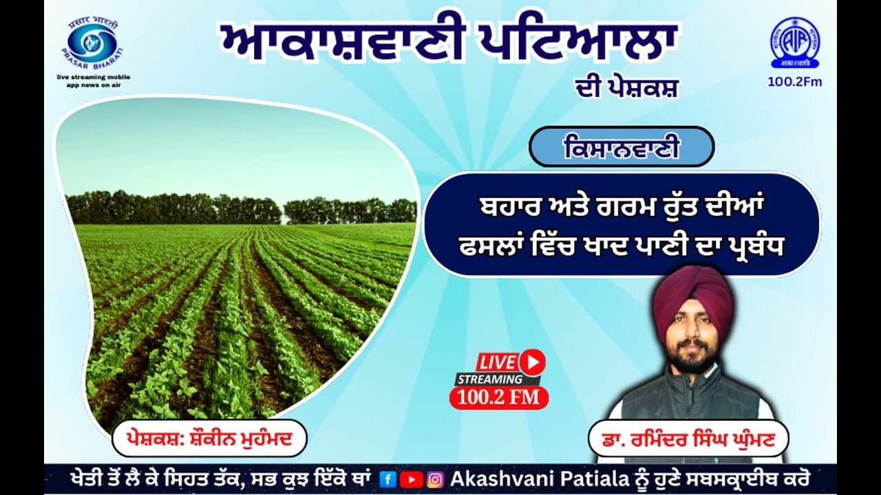 ਬਹਾਰ ਰੁੱਤ ਦੀਆਂ ਫਸਲਾਂ ਤੋਂ ਚਾਹੀਦਾ ਹੈ ਬੰਪਰ ਝਾੜ? 🌾 ਤਾਂ ਖਾਦ ਪਾਉਣ ਵੇਲੇ ਨਾ ਕਰੋ ਇਹ ਗਲਤੀ | Akashvani Patiala