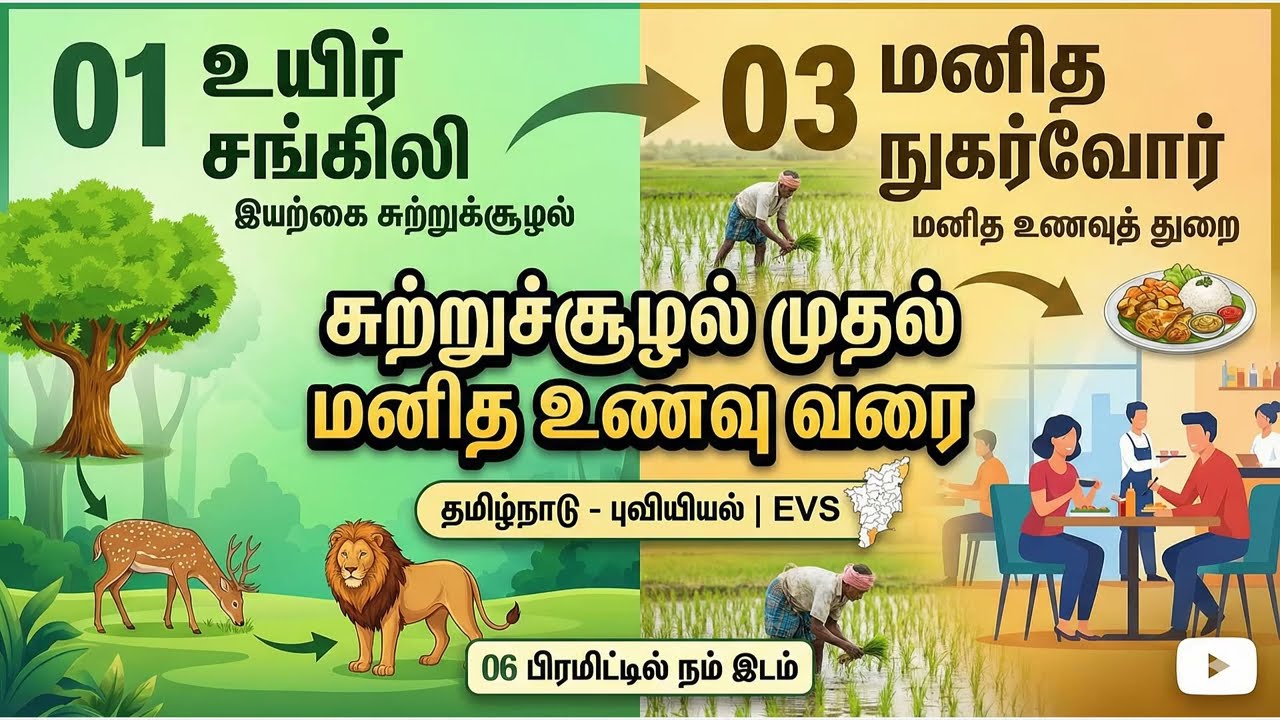 சூழலியல் அமைப்பு & உணவுச் சங்கிலி விளக்கம் | தமிழ்நாட்டில் உணவு தொழில்  #Ecosystem #FoodChain #Tamil