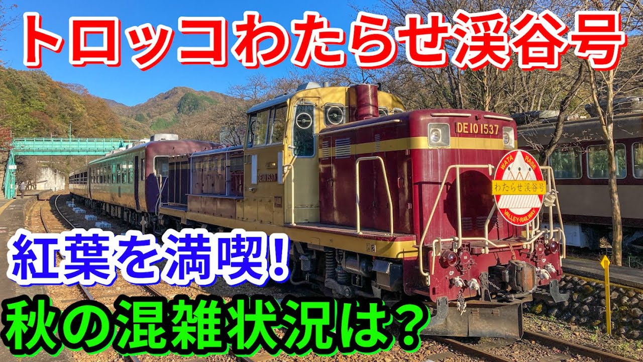 秋のトロッコわたらせ渓谷号に乗ってみた。