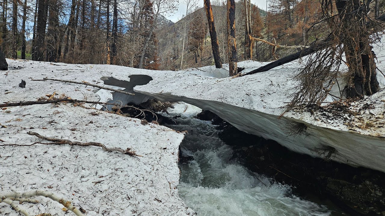 Snow Bridge Fall! Questionable Choices In The Sawtooth Wilderness: Wapiti Fire Area & Grandjean