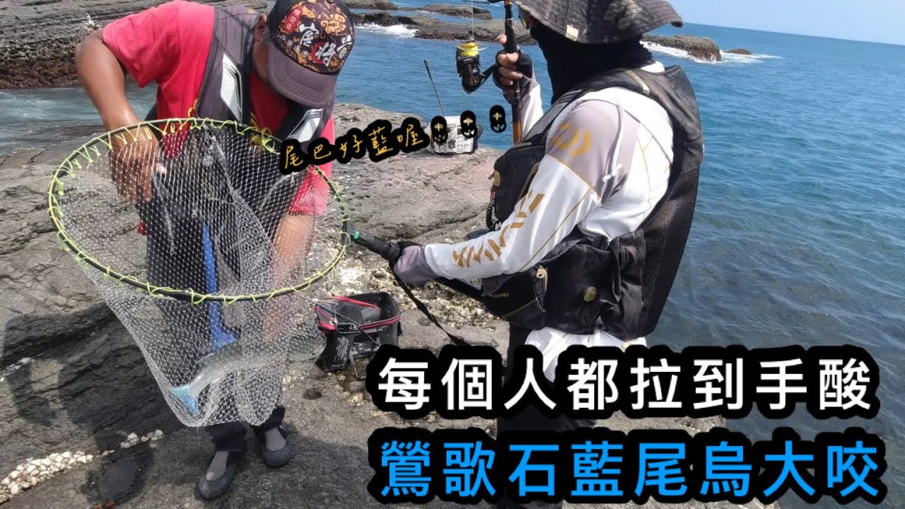 東北角藍尾烏開咬 每個人都拉到手酸 還一直斷線 真的有夠誇張！！！#巴斯 #磯釣 #東北角 #釣魚