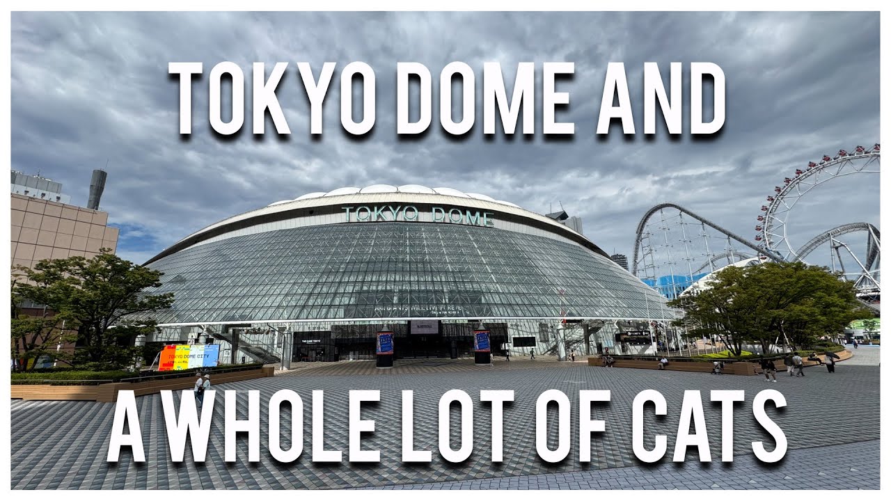 Видеоблог о Японии: День 6 – Tokyo Dome, храм Готокудзи и Синдзюку