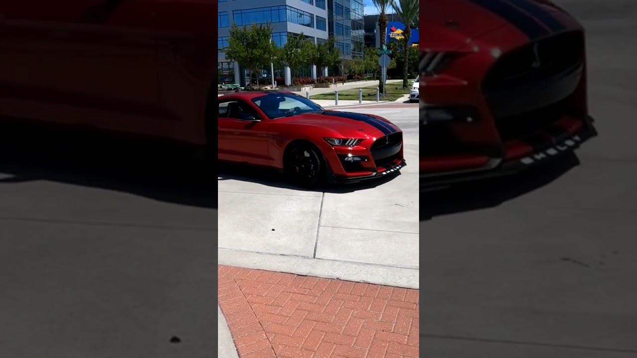 Ford Mustangs at One Daytona #carshow #cruisein #ford #mustang