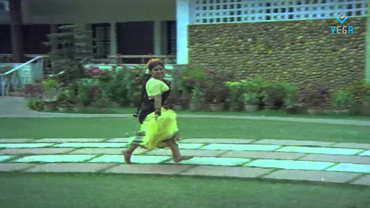 Allu Ramalingaiah Julayi Video Song - Puli Bebbuli