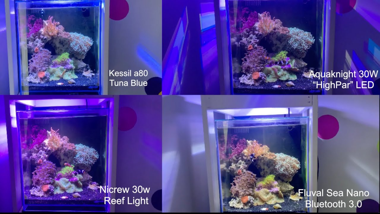 4 Nano (Kessil, Nicrew, Aquaknight, Fluval) Reef Lights