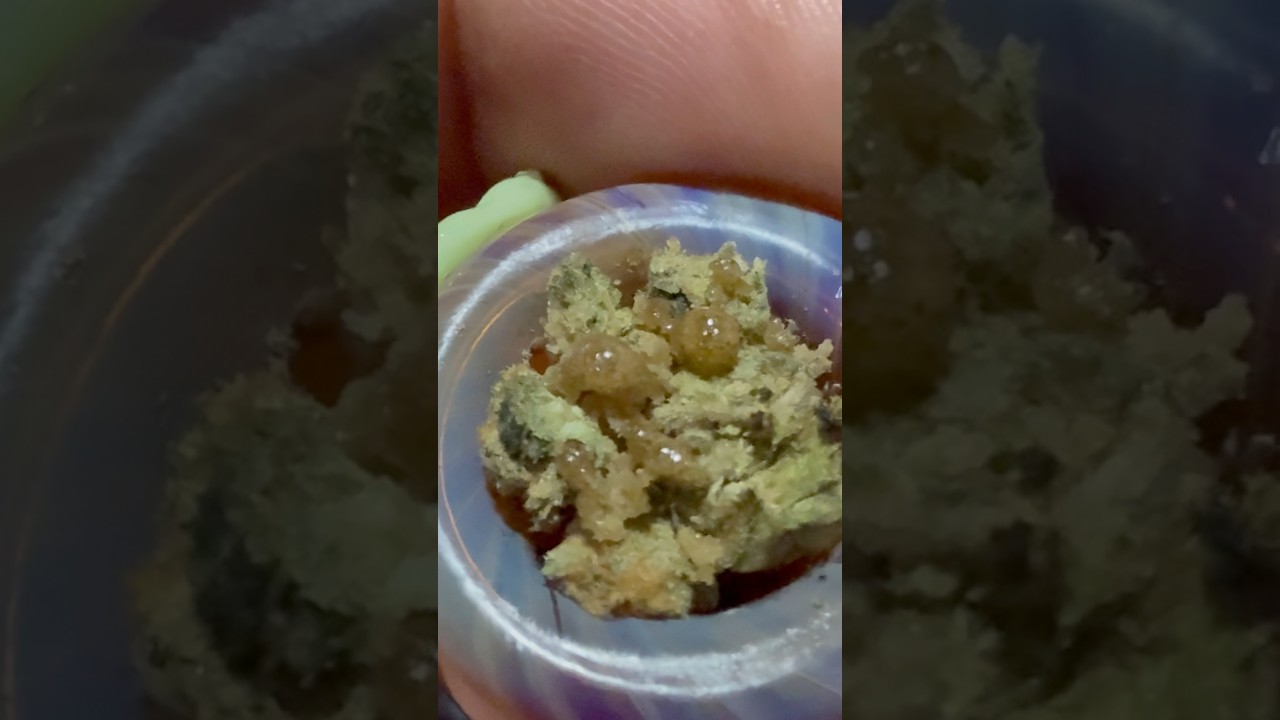 Live smoke session is about to start come say hello if you like