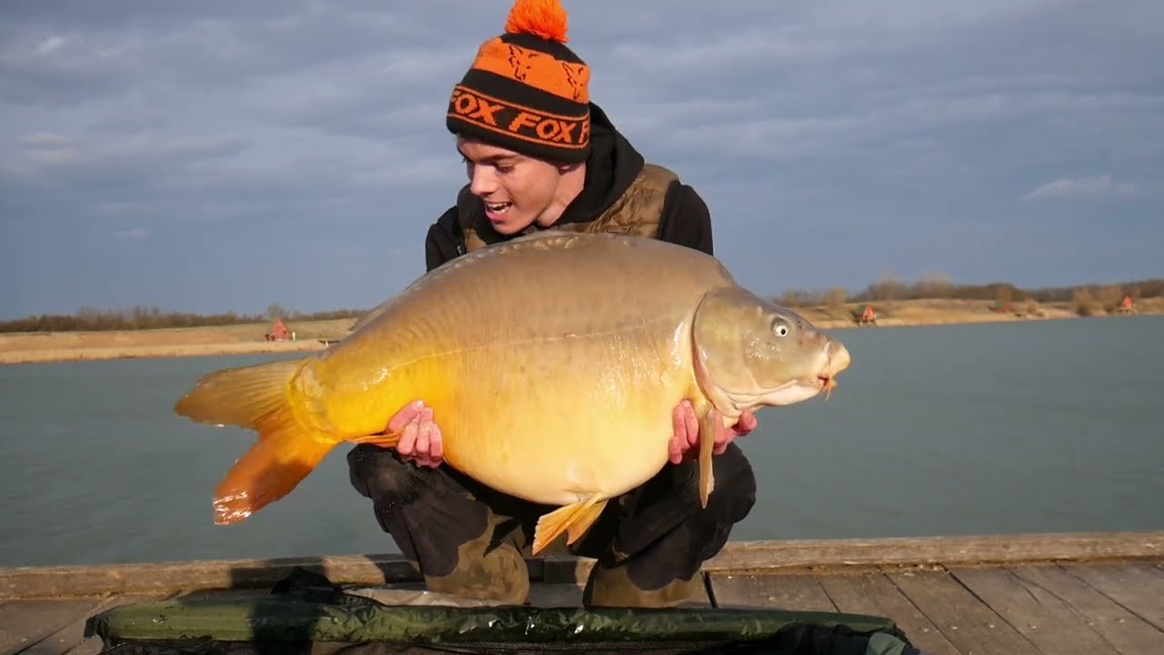 KÉT osztással  20kg alatt---Ölbő Bojlis Tó