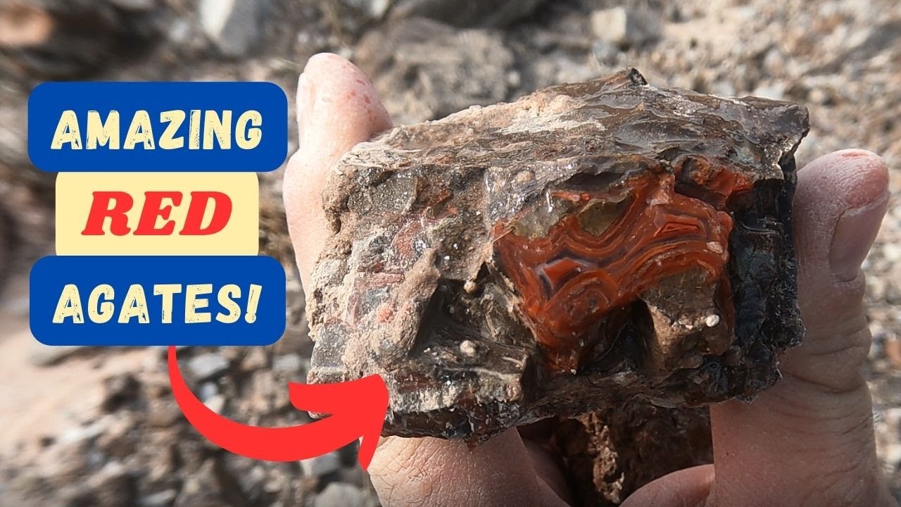 Rockhounding for Red Agate and Petrified wood at Yellow Cat!