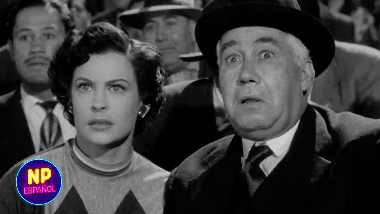 La Gran Pelea | Caballero A La Medida (1954) | Now Español