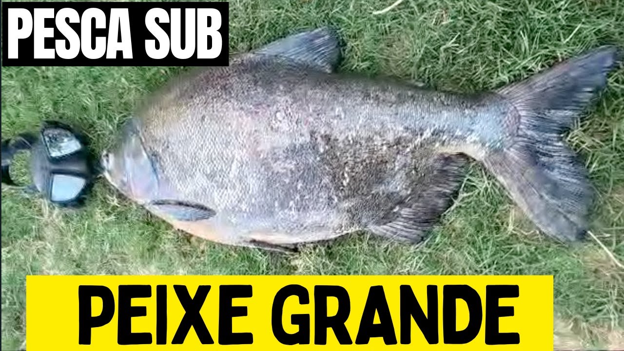PESCA EM RIOS E LAGOS DESCUBRA O SEGREDO.
