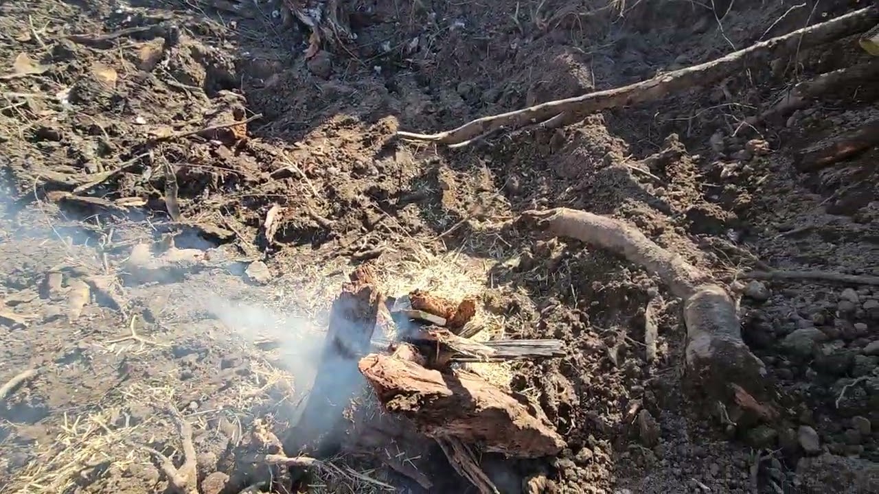 Burning Green Timber Part 1 