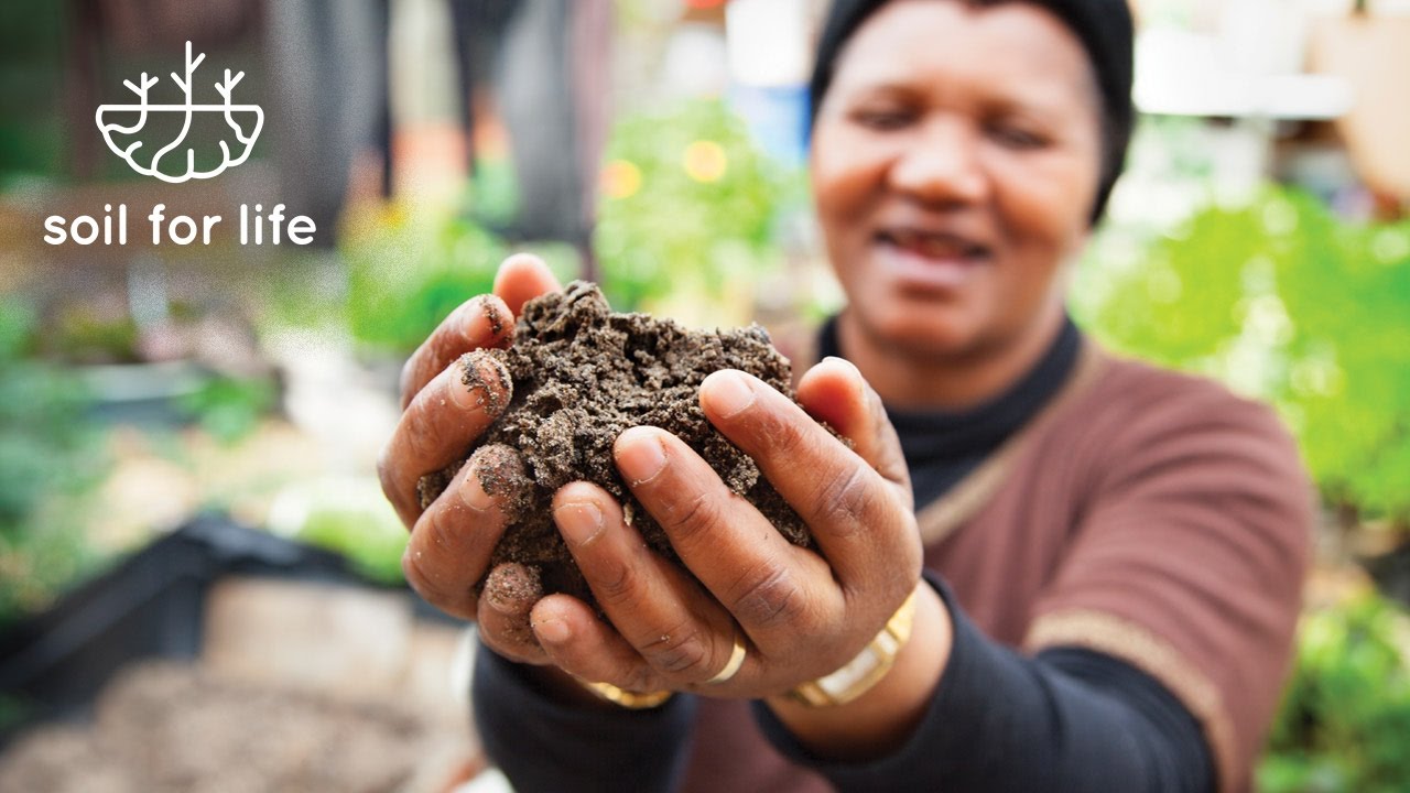 Soil For Life: Changing the world, one garden and one person at a time