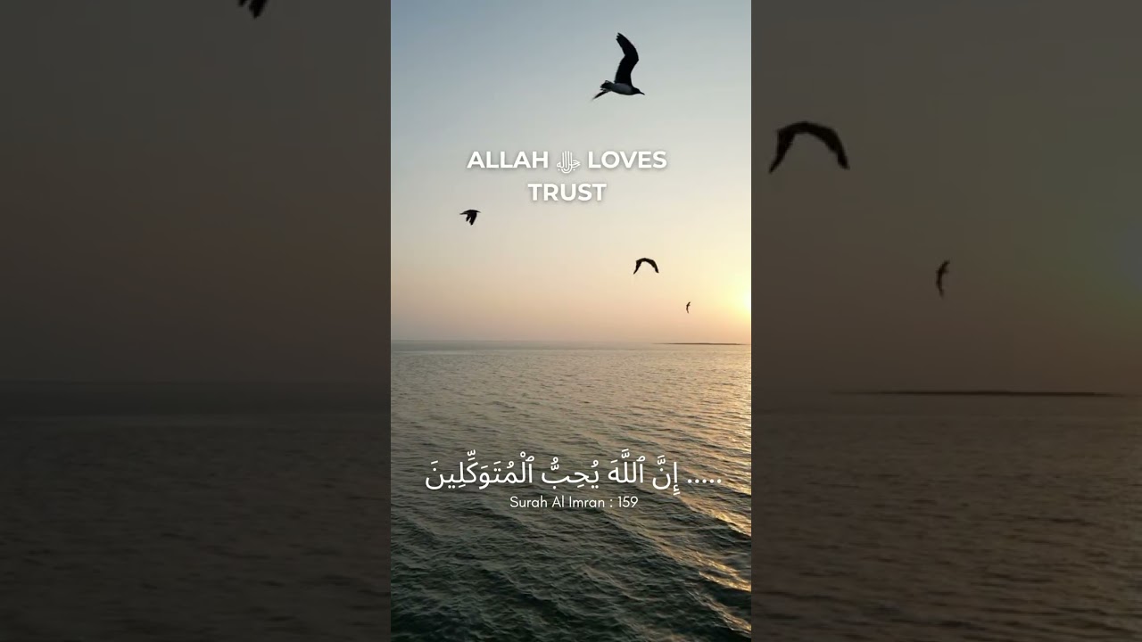 Day 2: Allah Loves Trust | A Reminder Series in Urdu