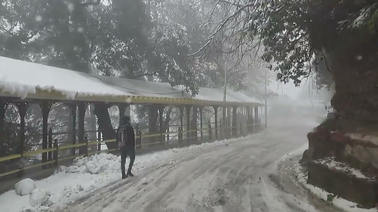 igmc to sanjauli road 01/02/2024 saal ki pehli barfbari shimla himachal pradesh  @vinodbhatia6497